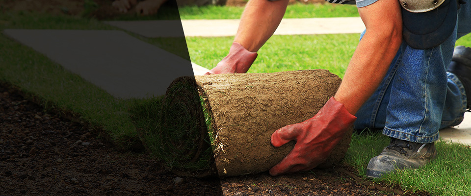 Owensboro Landscapers